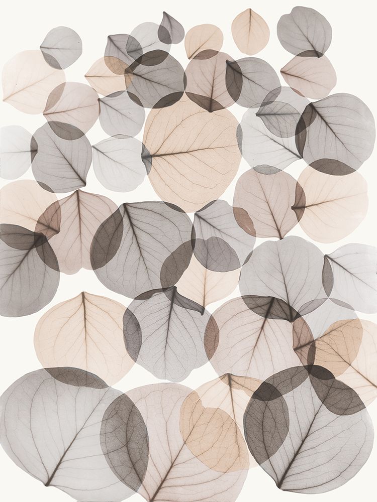 Sandy Baybean Leaves art print by Albert Koetsier for $57.95 CAD