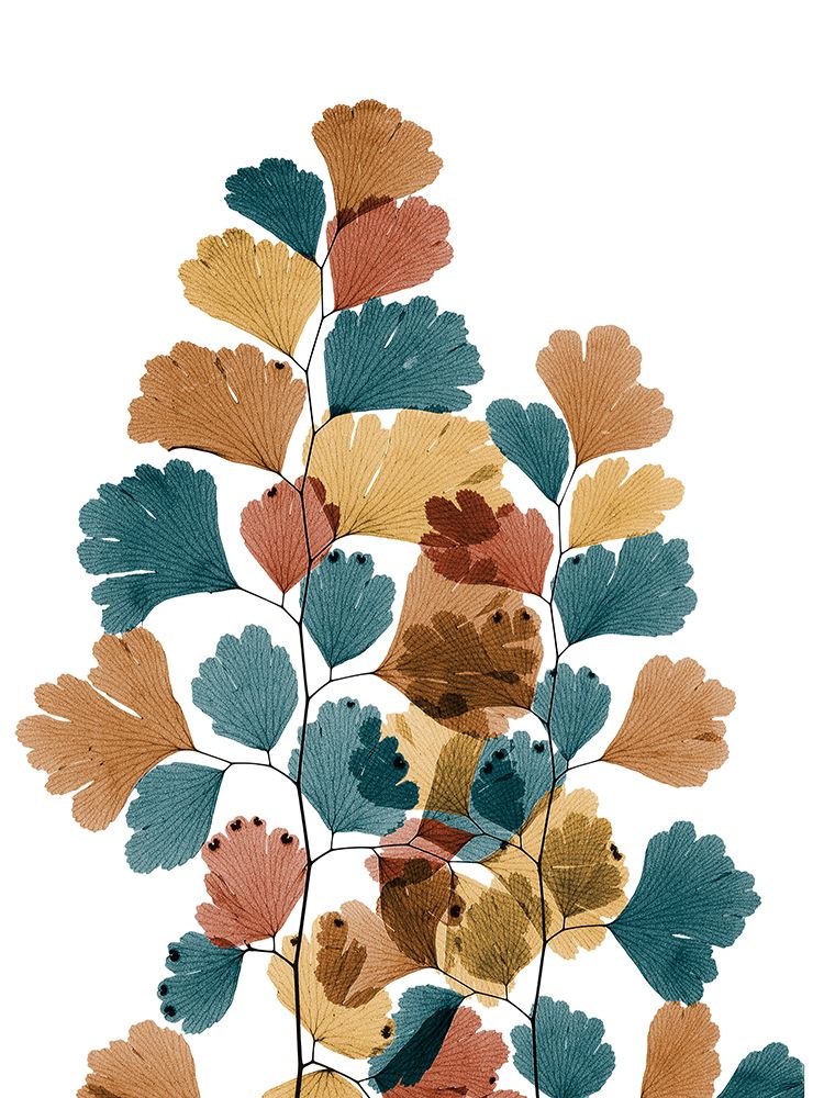 Southern Urban Maidenhair Fern art print by Albert Koetsier for $57.95 CAD