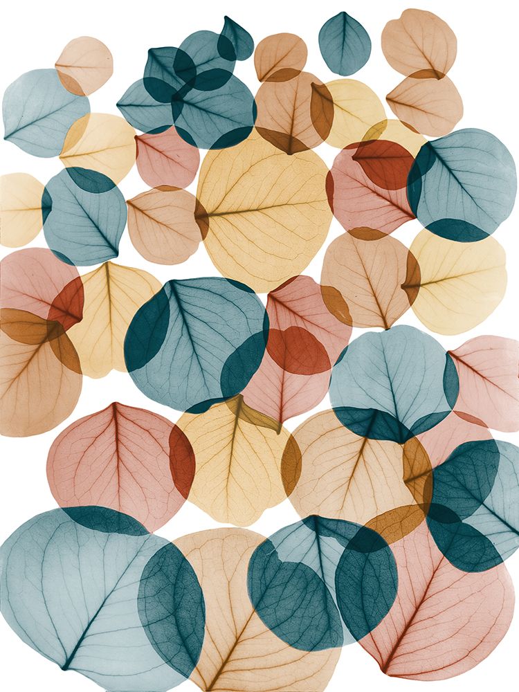 Urban Baybean Leaves art print by Albert Koetsier for $57.95 CAD
