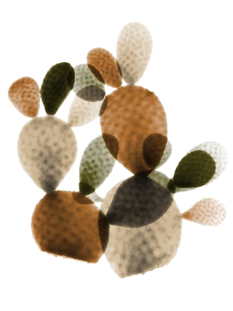 Urban Cactus Bunch 1 art print by Albert Koetsier for $57.95 CAD