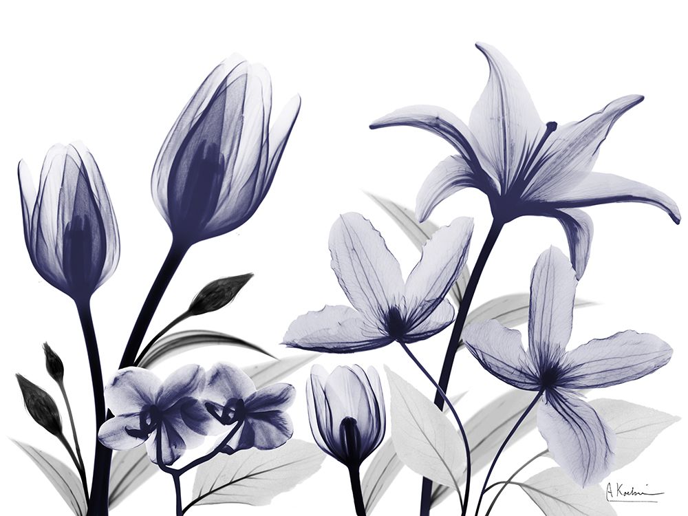 Automatic Dusk Bloom 3 art print by Albert Koetsier for $57.95 CAD