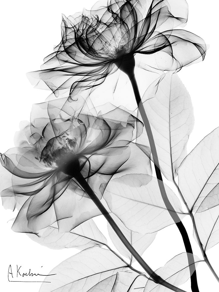 Delighful Pair 1 art print by Albert Koetsier for $57.95 CAD