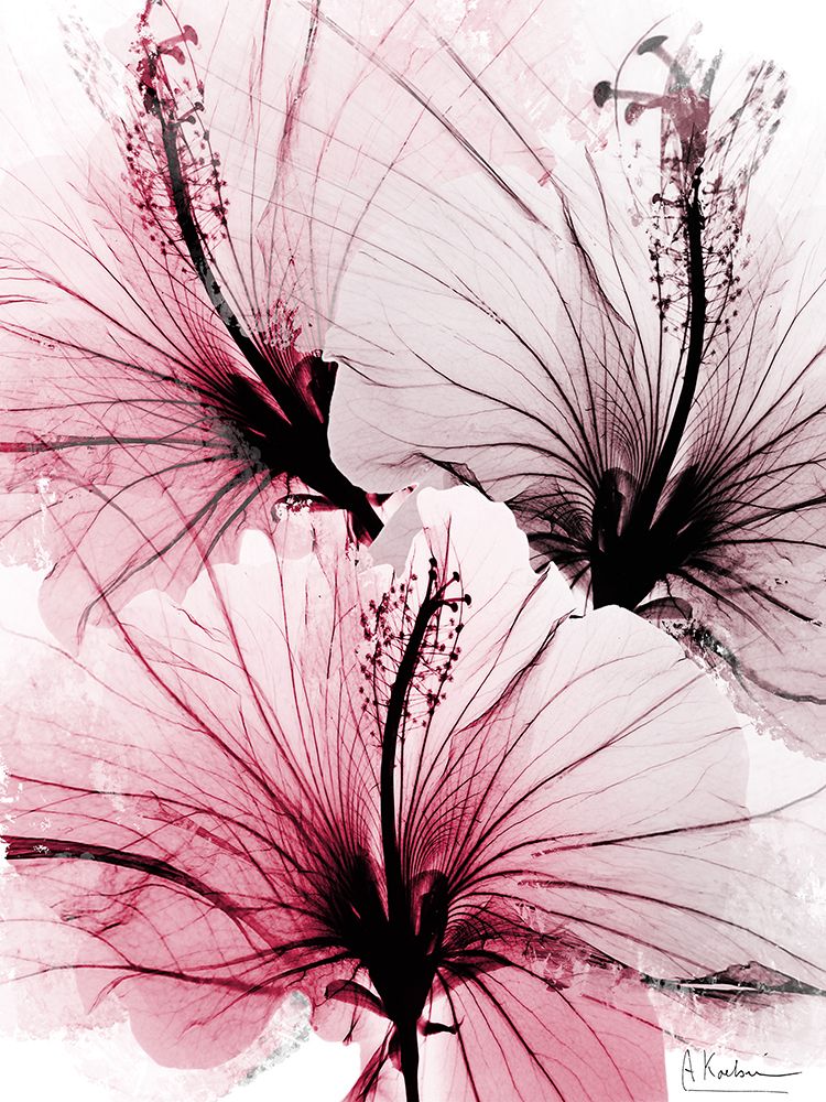 Bright Floral Abstract 1 art print by Albert Koetsier for $57.95 CAD