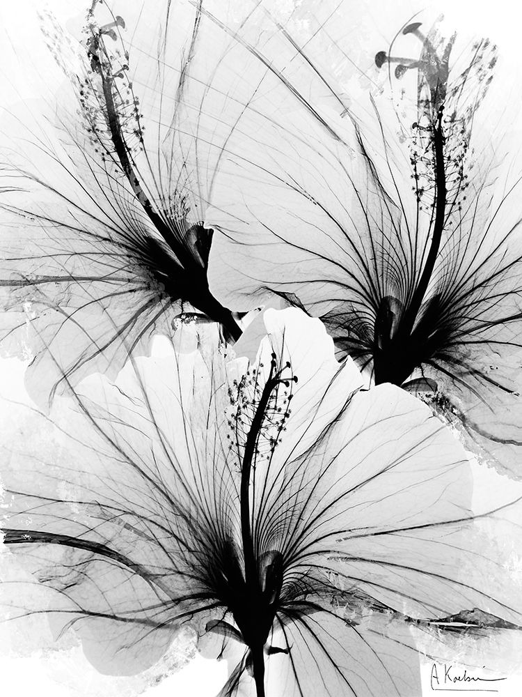 Floral Abstract 1 art print by Albert Koetsier for $57.95 CAD