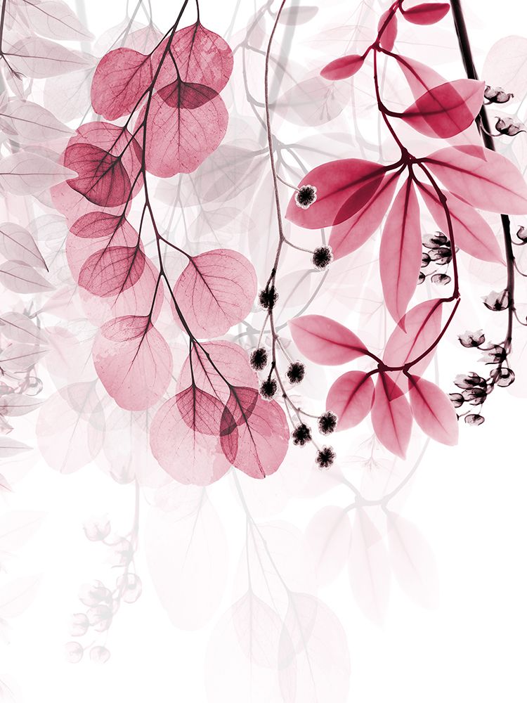 Vivid Matter 1 art print by Albert Koetsier for $57.95 CAD