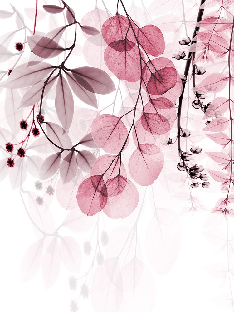 Vivid Matter 2 art print by Albert Koetsier for $57.95 CAD