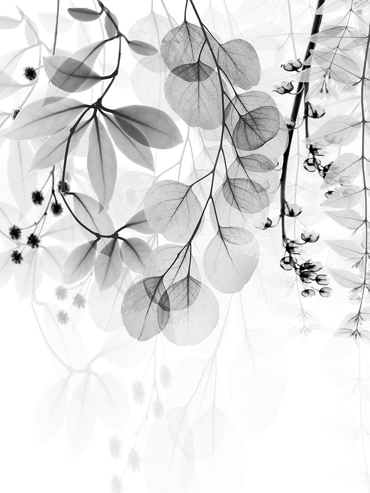 Complex Matter 2 art print by Albert Koetsier for $57.95 CAD