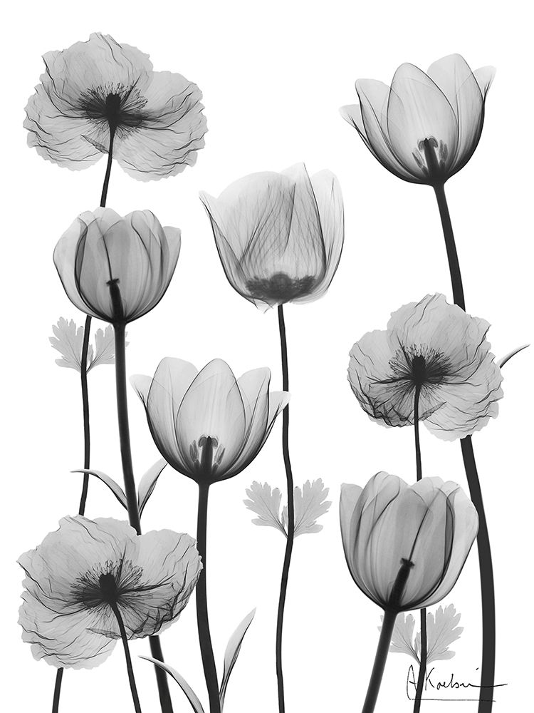 Exclusive Contentment 1 art print by Albert Koetsier for $57.95 CAD
