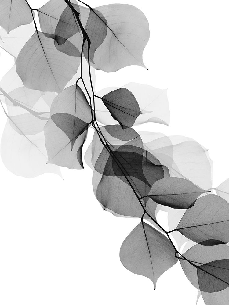 Price Of Reflection 2 art print by Albert Koetsier for $57.95 CAD