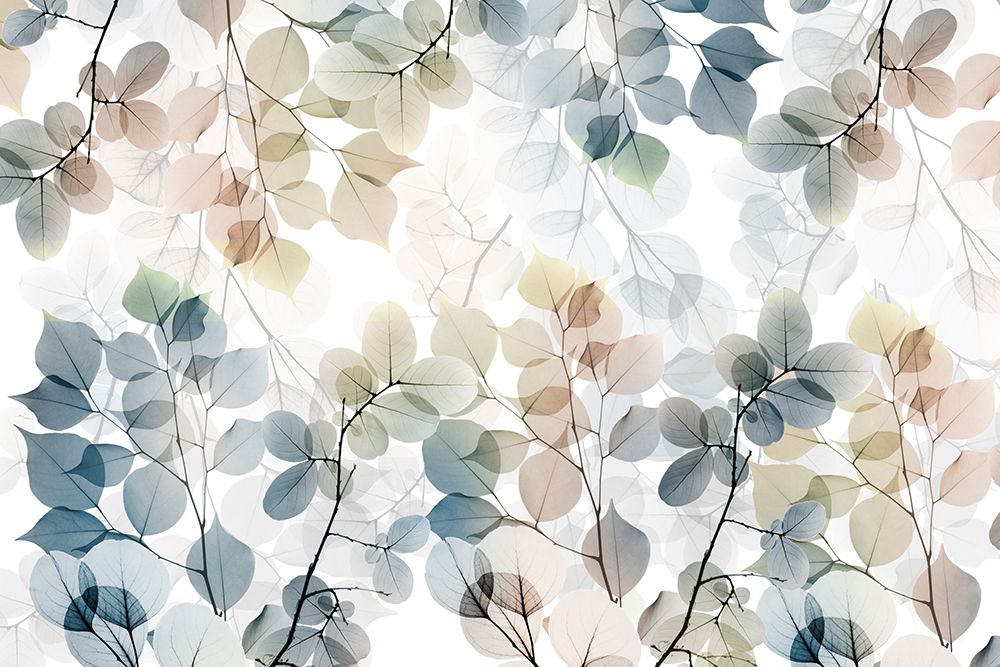 Ethereal Balance 1 art print by Albert Koetsier for $57.95 CAD