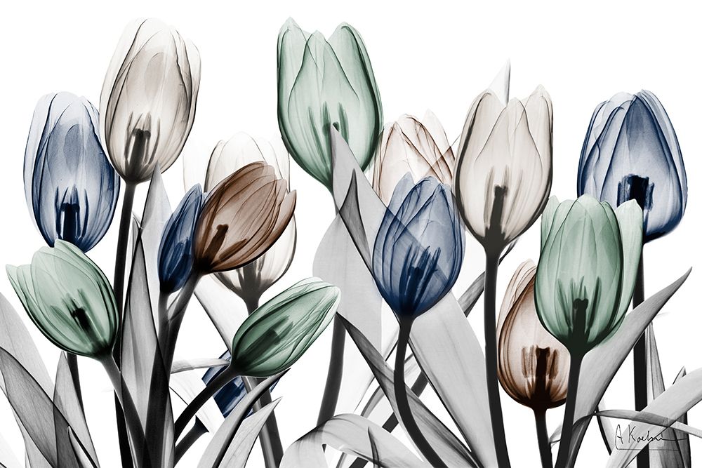 Exhilarated Potential art print by Albert Koetsier for $57.95 CAD