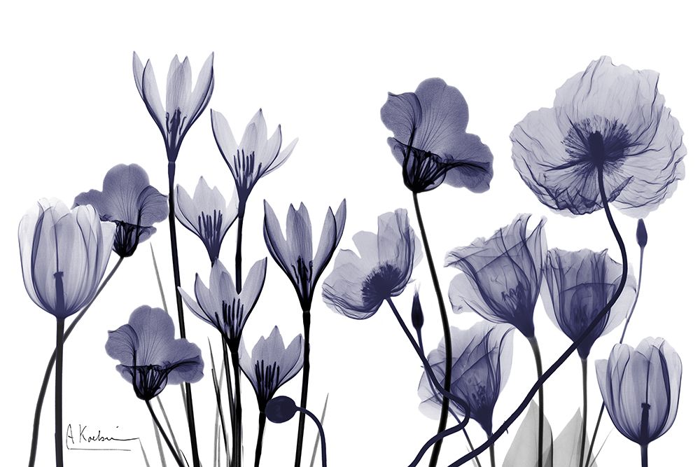 Dynamic Dusk art print by Albert Koetsier for $57.95 CAD