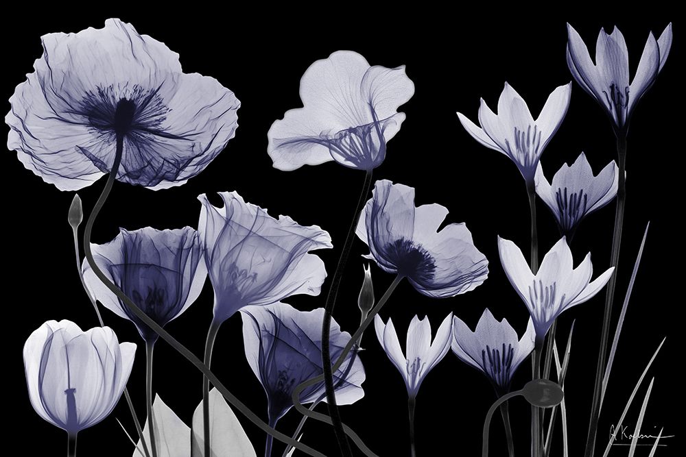 Dusk Delight 2 art print by Albert Koetsier for $57.95 CAD