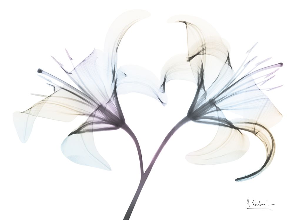 Lily Twins Haze art print by Albert Koetsier for $57.95 CAD