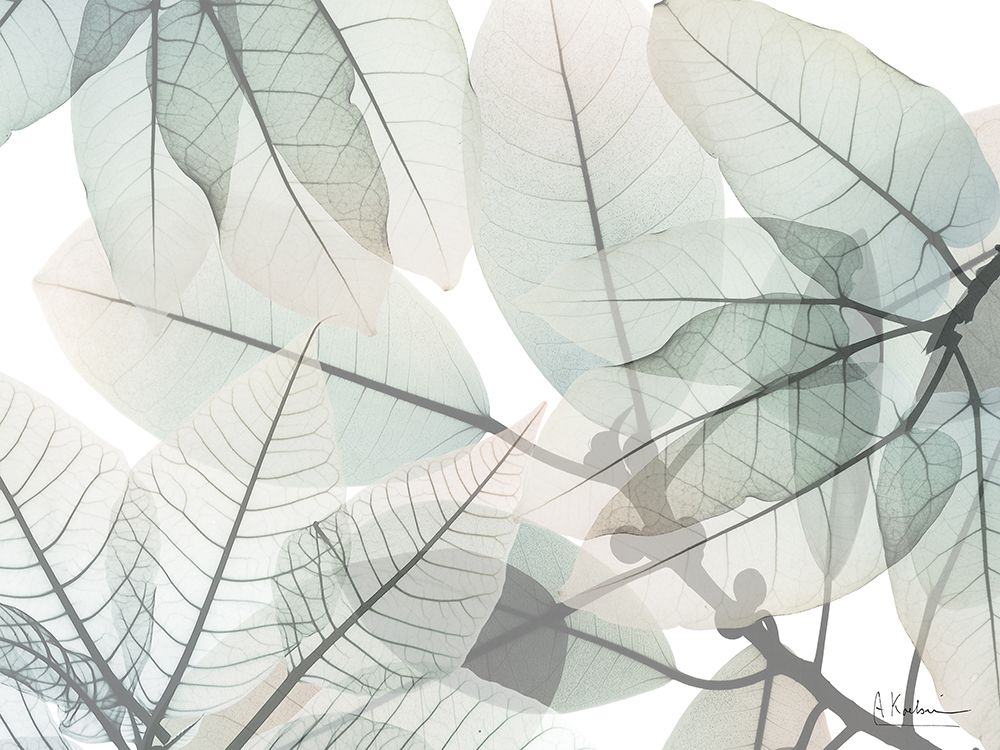 Limitless Bunch art print by Albert Koetsier for $57.95 CAD