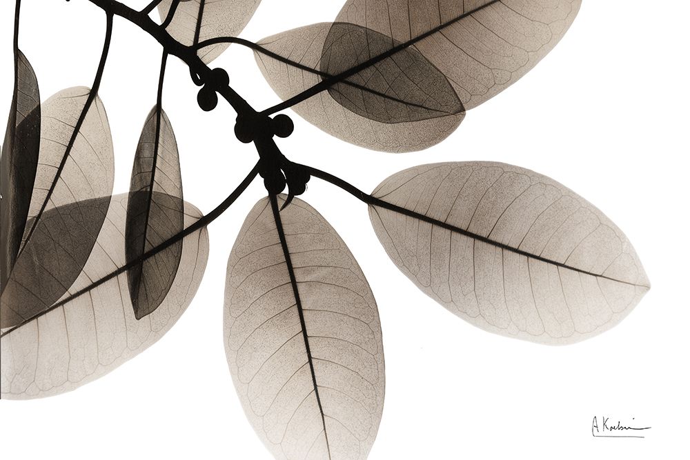 Tranquil Mother 1 art print by Albert Koetsier for $57.95 CAD