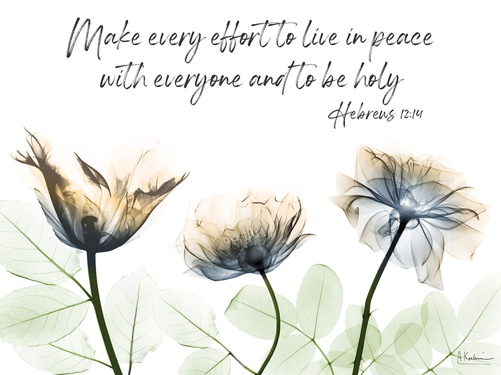 Live In Peace art print by Albert Koetsier for $57.95 CAD