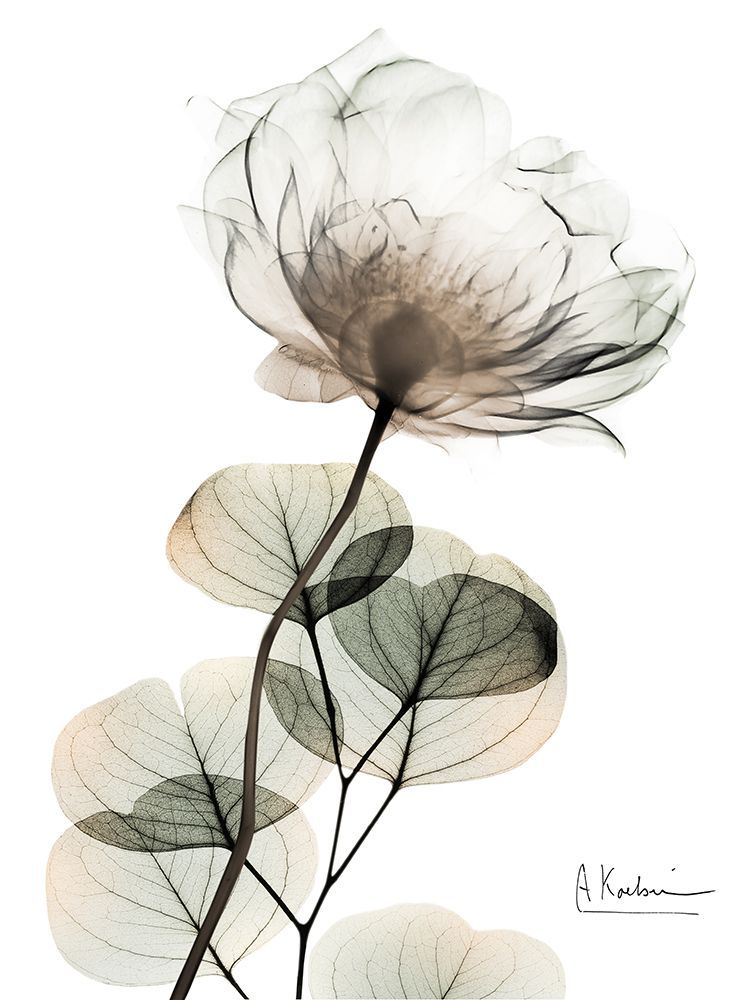 Creamy Floral Dynasty 1 art print by Albert Koetsier for $57.95 CAD