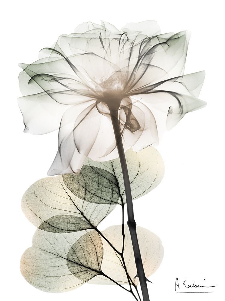 Creamy Floral Dynasty 2 art print by Albert Koetsier for $57.95 CAD