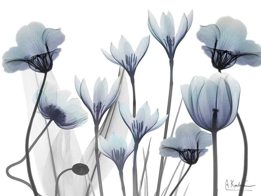 Floral Desires 1 art print by Albert Koetsier for $57.95 CAD