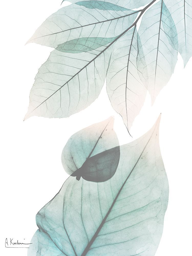 Lively Botanicals 2 art print by Albert Koetsier for $57.95 CAD