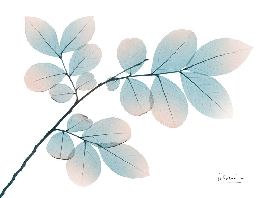 Retro Myrtle Tree art print by Albert Koetsier for $57.95 CAD