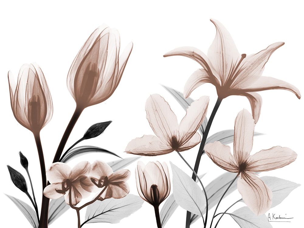 Automatic Mocha Bloom art print by Albert Koetsier for $57.95 CAD