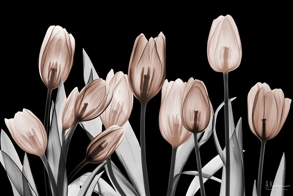Dramatic Mocha 2 art print by Albert Koetsier for $57.95 CAD