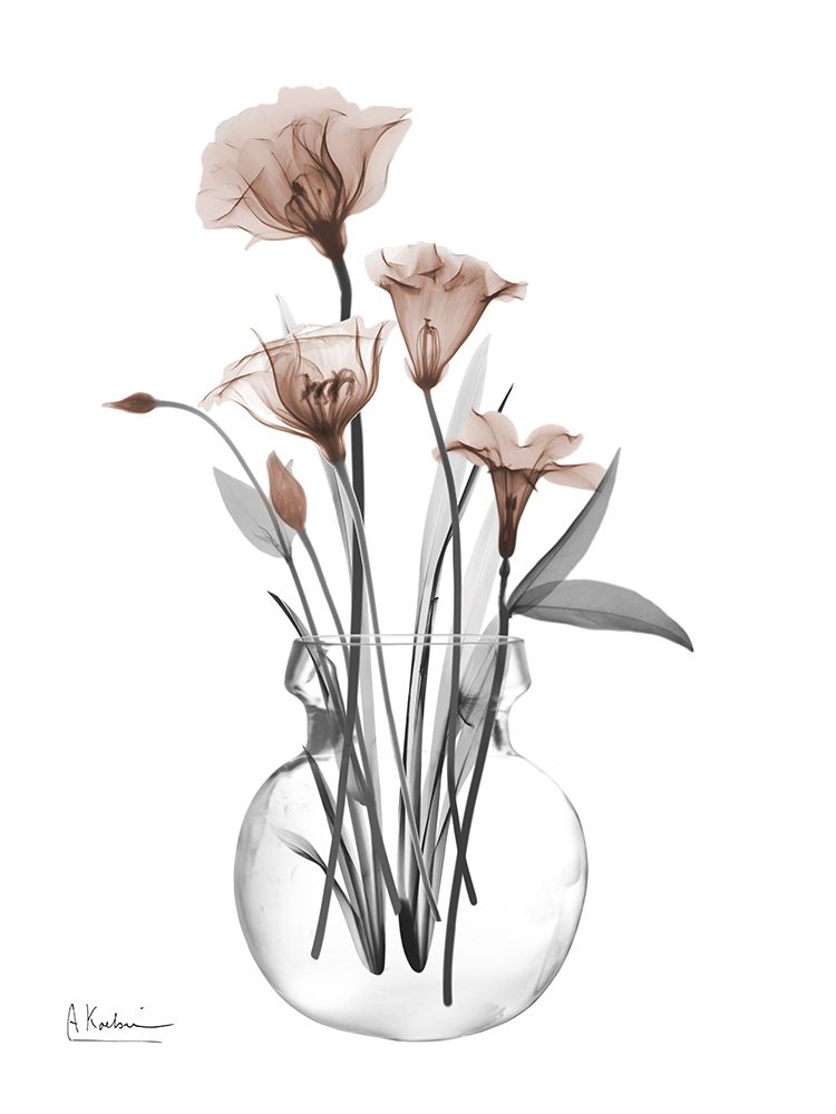 Thundering Mocha Bloom 1 art print by Albert Koetsier for $57.95 CAD