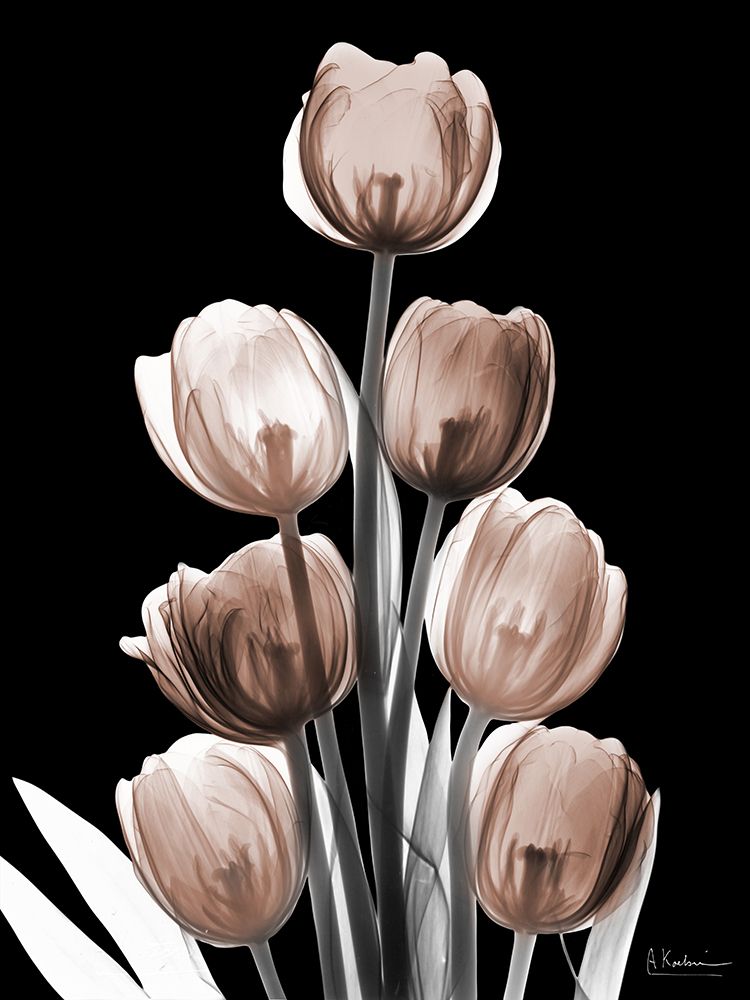 Delightful Mocha Tulips 1 V2 art print by Albert Koetsier for $57.95 CAD