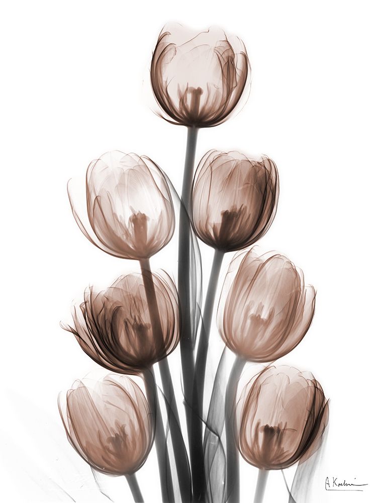 Delightful Mocha Tulips 1 art print by Albert Koetsier for $57.95 CAD