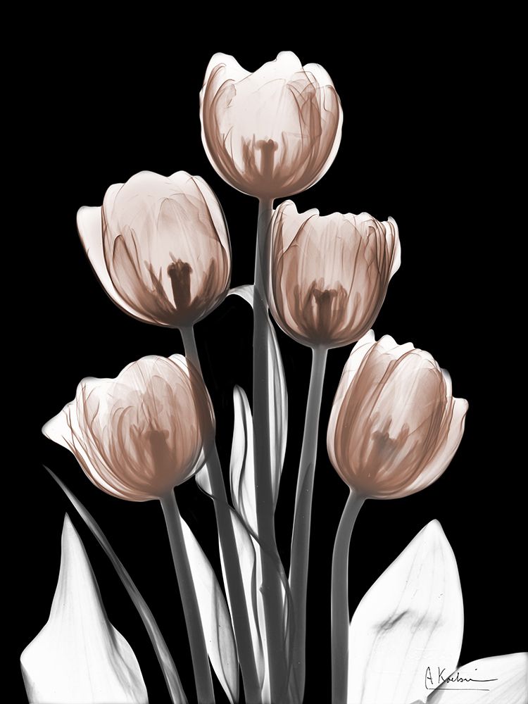 Delightful Mocha Tulips 2 V2 art print by Albert Koetsier for $57.95 CAD