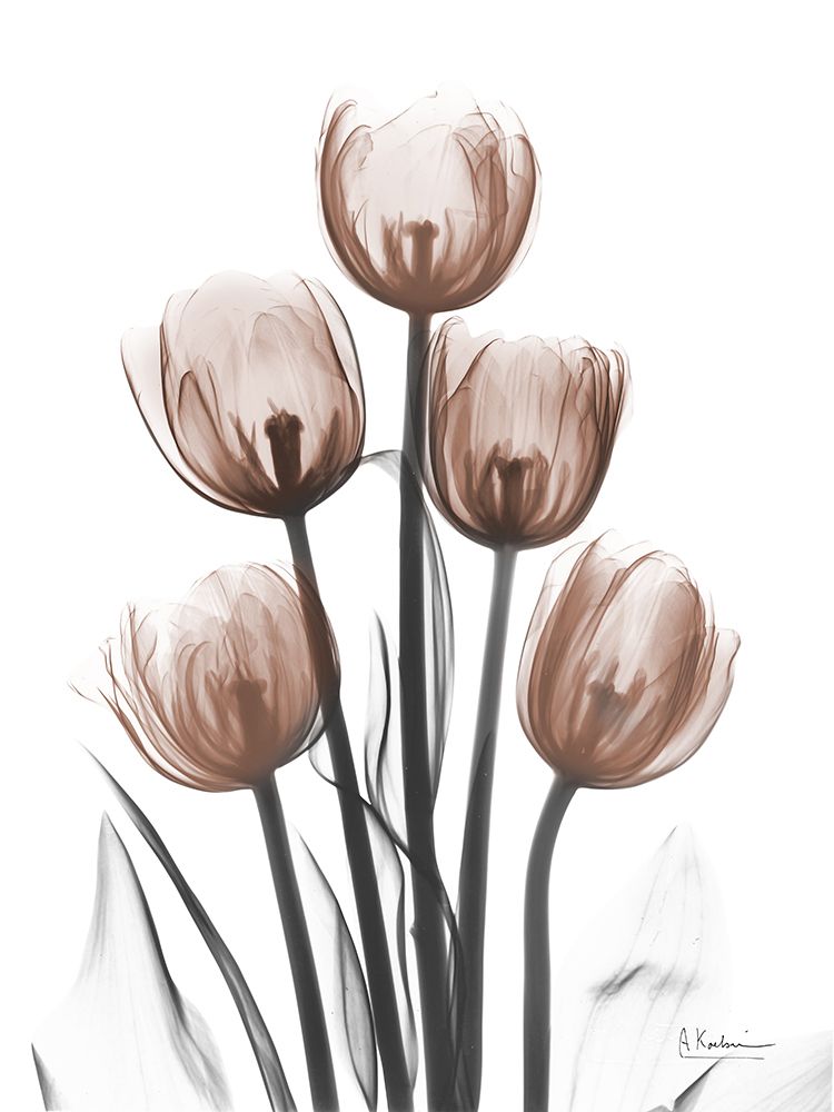 Delightful Mocha Tulips 2 art print by Albert Koetsier for $57.95 CAD