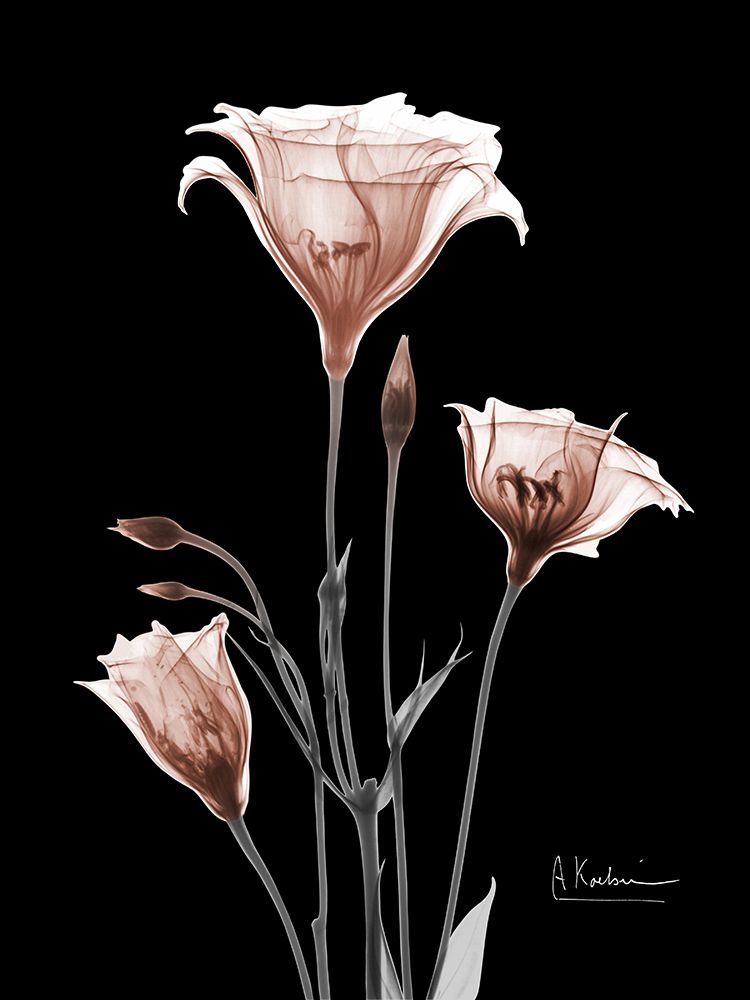 Mocha Gentian 2 V2 art print by Albert Koetsier for $57.95 CAD