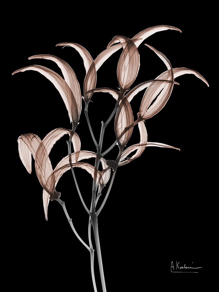 Mocha Oleander Bush 1 V2 art print by Albert Koetsier for $57.95 CAD