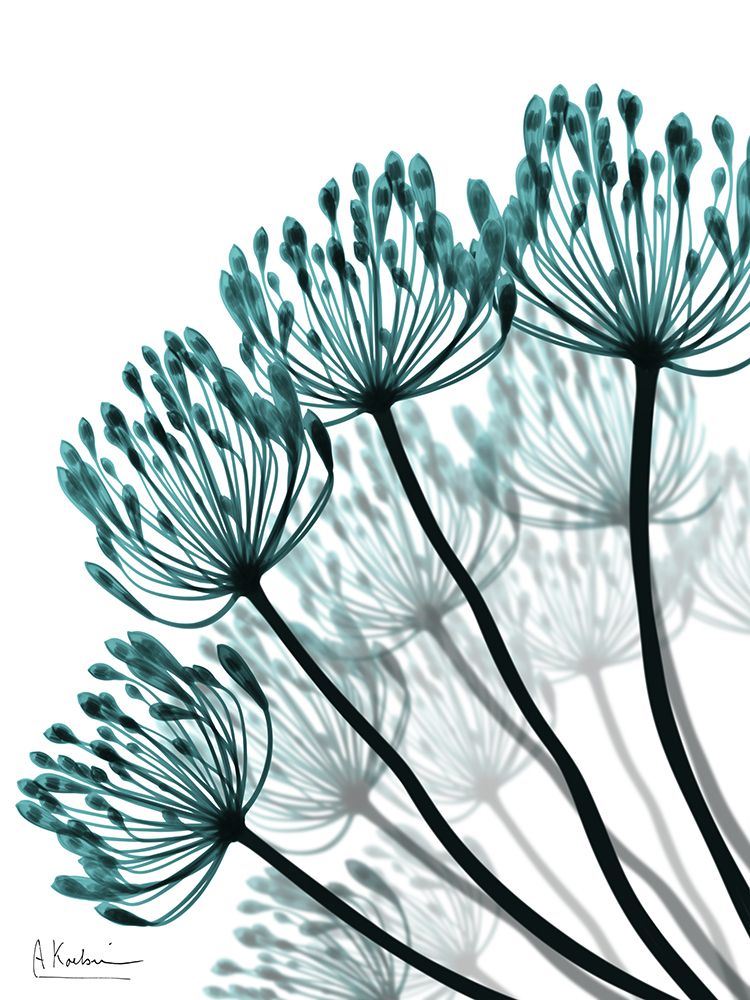 Teal Floral Fan 1 art print by Albert Koetsier for $57.95 CAD