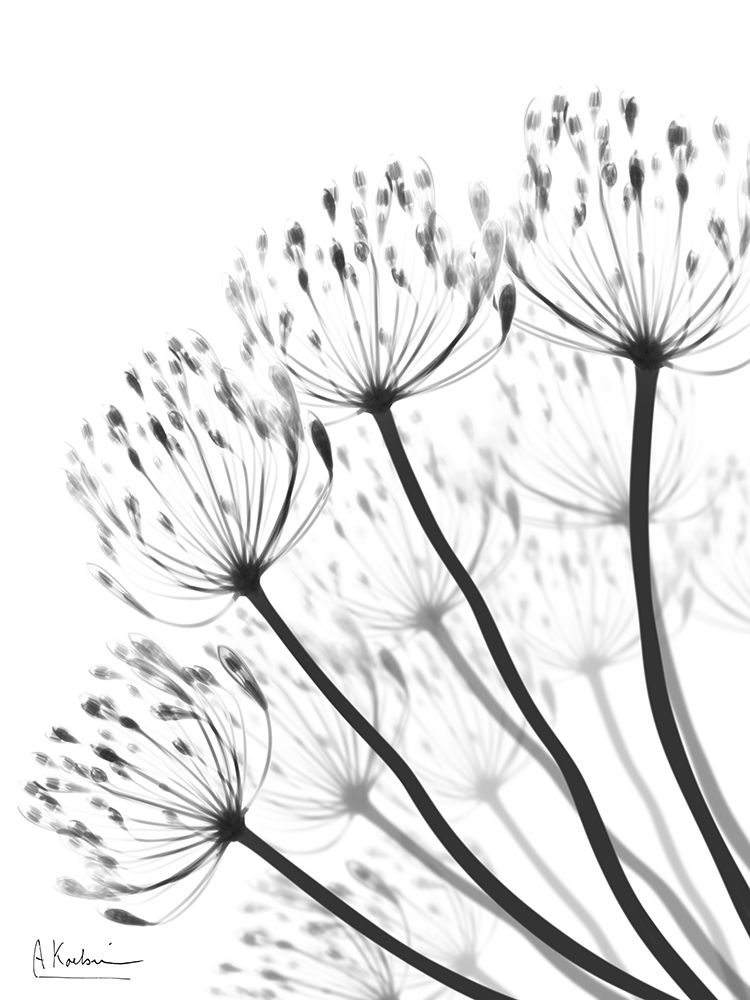 Floral Fan 1 art print by Albert Koetsier for $57.95 CAD