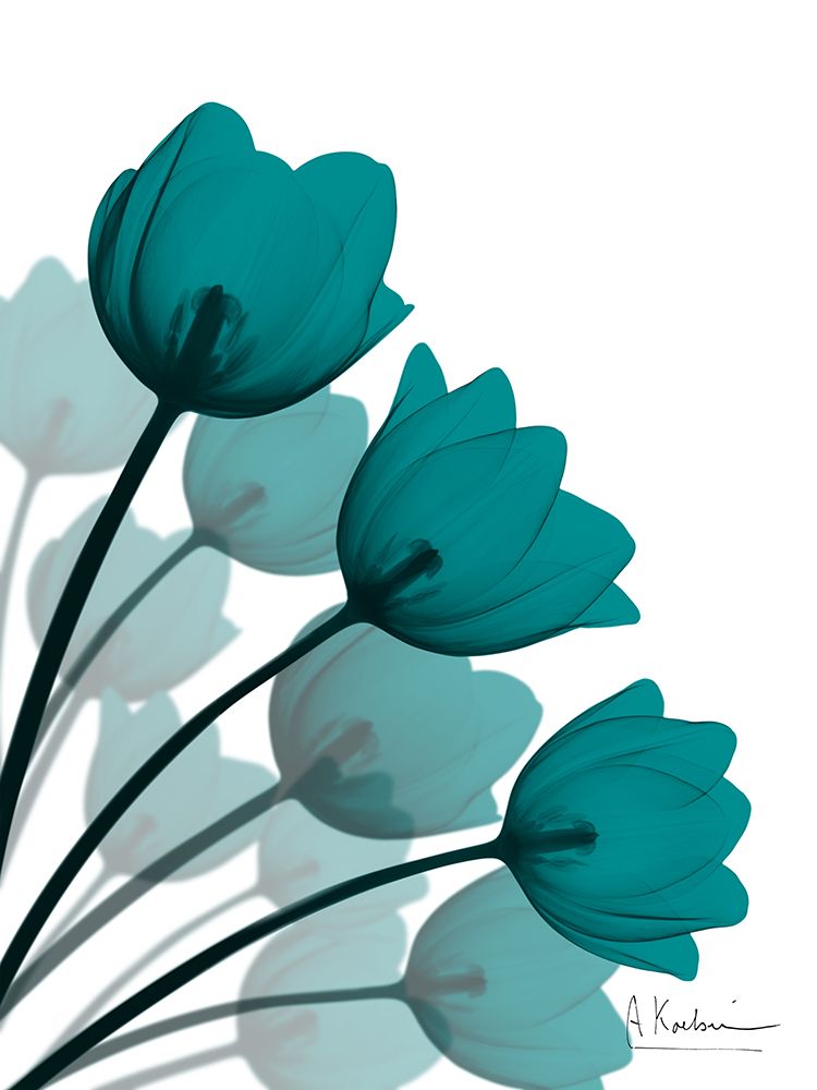Teal Tulip Fan 1 art print by Albert Koetsier for $57.95 CAD