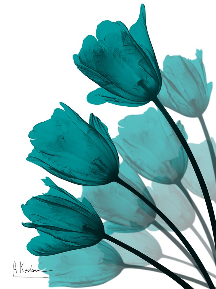 Teal Tulip Fan 2 art print by Albert Koetsier for $57.95 CAD