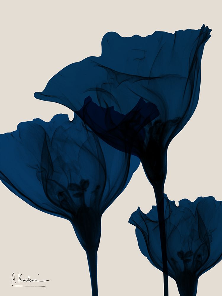 Indigo Blooms 1 art print by Albert Koetsier for $57.95 CAD