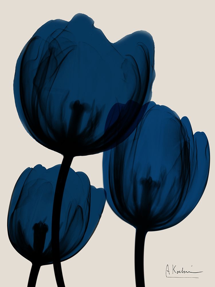 Indigo Blooms 2 art print by Albert Koetsier for $57.95 CAD