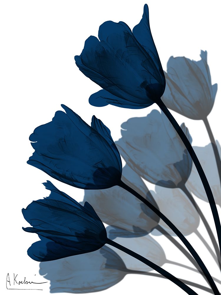 Indigo Tulip Fan 2 art print by Albert Koetsier for $57.95 CAD