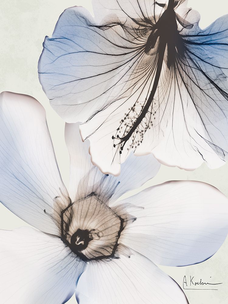 Flowers Of Blue Hue 1 art print by Albert Koetsier for $57.95 CAD