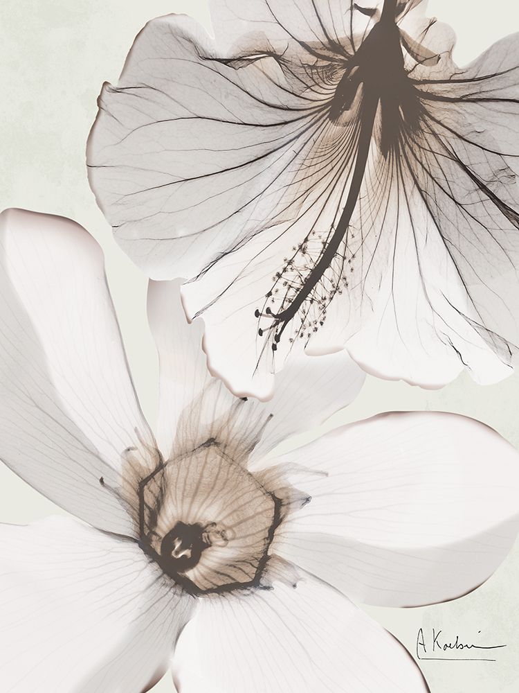 Flowers Of Purpose 2 art print by Albert Koetsier for $57.95 CAD
