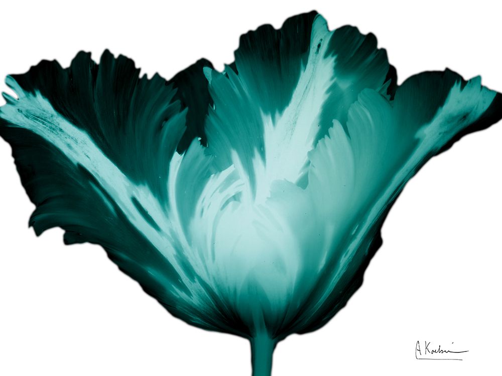 Teal Blossom 1 art print by Albert Koetsier for $57.95 CAD