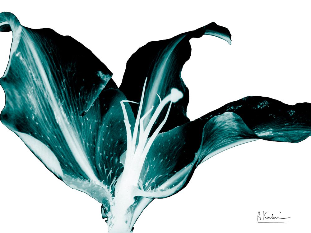 Teal Blossom 2 art print by Albert Koetsier for $57.95 CAD