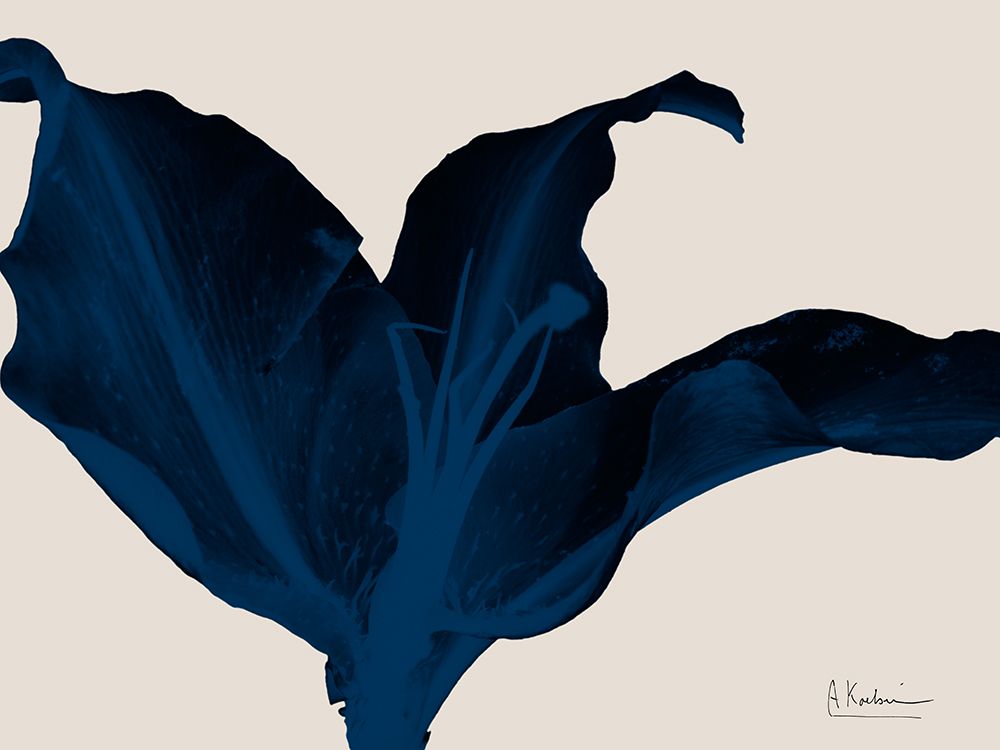 Indigo Blossom 2 art print by Albert Koetsier for $57.95 CAD