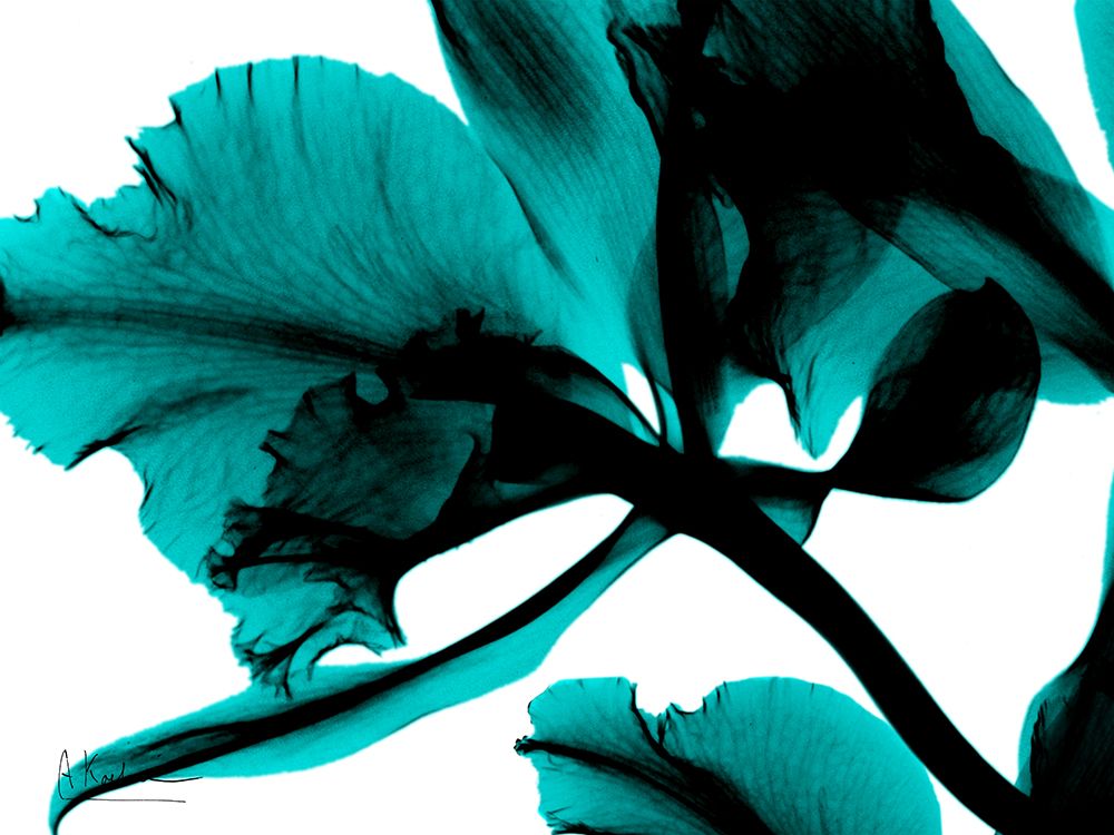 Teal Blossom 3 art print by Albert Koetsier for $57.95 CAD
