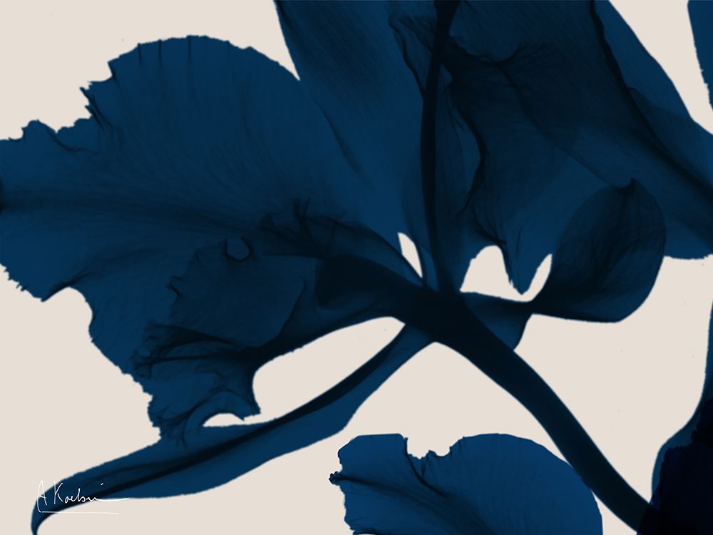 Indigo Blossom 3 art print by Albert Koetsier for $57.95 CAD