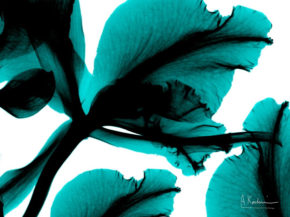 Teal Blossom 4 art print by Albert Koetsier for $57.95 CAD